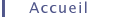Immocompta : Page d'Acceuil